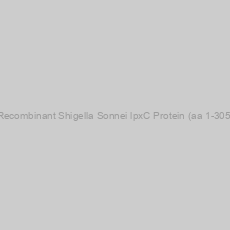 Image of Recombinant Shigella Sonnei lpxC Protein (aa 1-305)